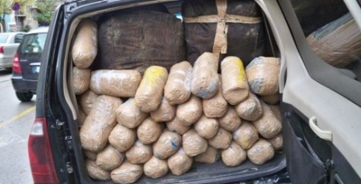Kanabisi s'ka të ndalur në Shqipëri, sekuestrohen 750 kilogramë