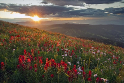 Foto ilustruese