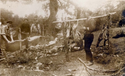 1944/100 dhitë e "reaksionarëve"