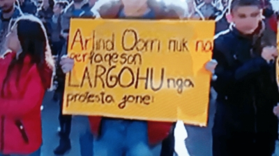 Bolshevikët e rinj dhe studentët që "E duan Shqipërinë si gjithë Europa"