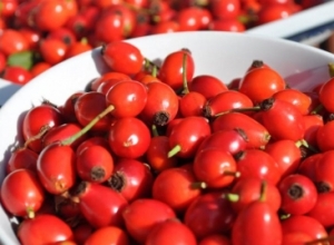 Pluhuri magjik i trëndafilit të egër perfekt kundër dhimbjes e reumatizmës